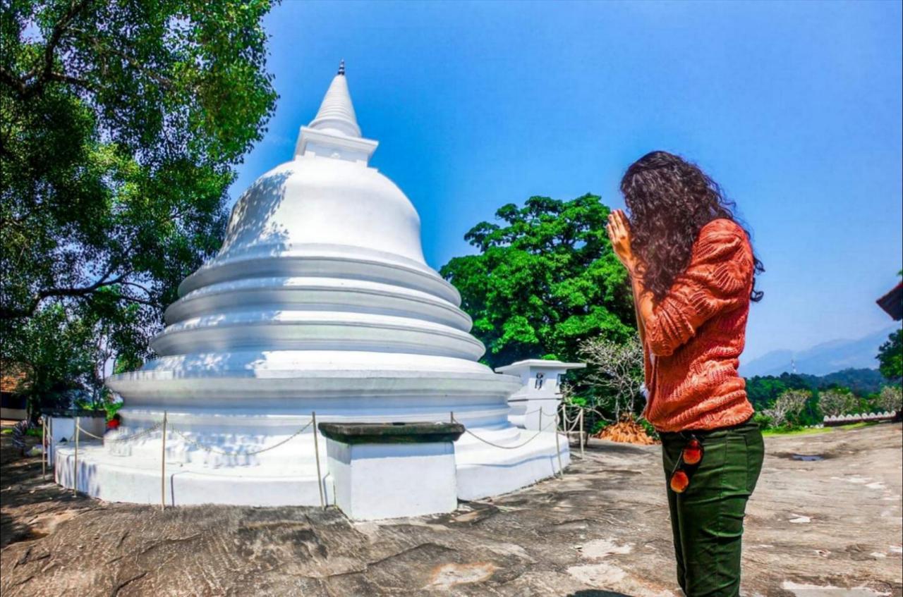 #Bedbox Vandrarhem Dambulla Exteriör bild